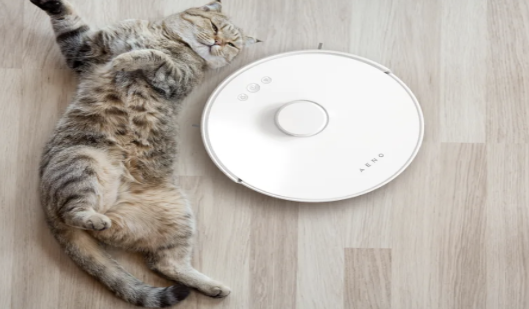  Effective daily cleaning of pet hair